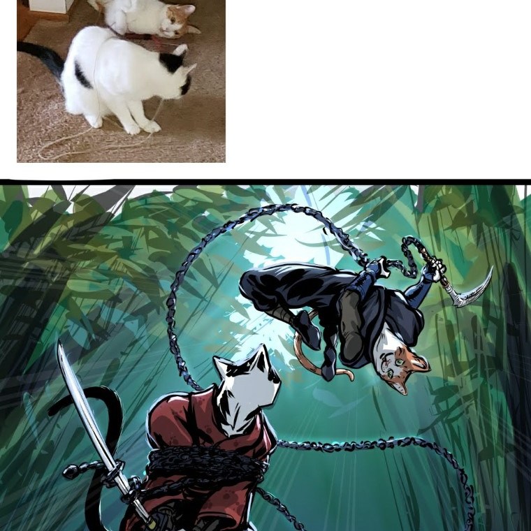 Cats Ninja